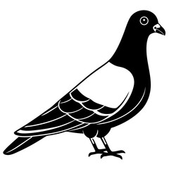 Pigeon Line Art Vector Black and White Drawing Illustration