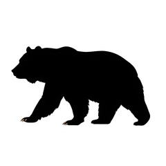 Fototapeta premium bear silhouette vector