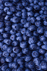 Fresh blueberry background. Texture blueberry berries close up.