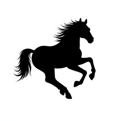 Obraz premium black horse silhouette