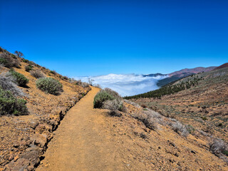 Scenic hiking path winding through volcanic landscape, offering breathtaking views of clouds and mountains in tenerife, canary islands