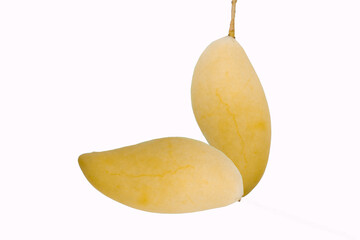Thai fruit Mango Nam Dok Mai isolated on white background