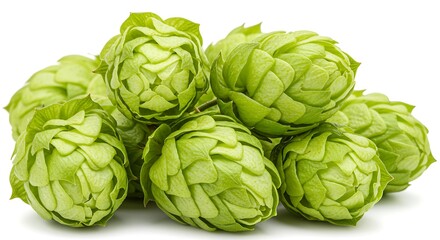 Fototapeta premium Fresh Hop Harvest: A Vibrant Close-Up AI Generated