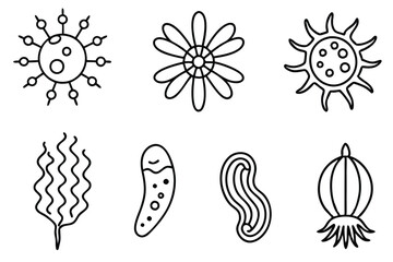 Phytoplankton Line Art Illustration Detailed Drawing for Marine Biology  