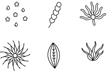 Phytoplankton Line Art Illustration Unique Design for Educational Materials