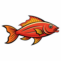 fish isolated on white