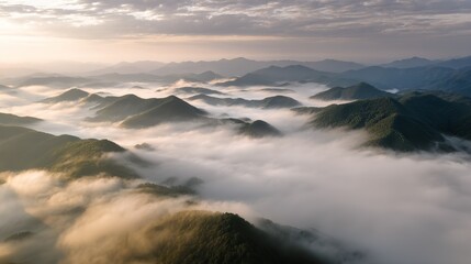 Naklejka premium Aerial view of the foggy mountains at sunrise. The panorama of cascading mountains and a sea of clouds in the Chinese art style is reminiscent of National Park Award winning photographs.