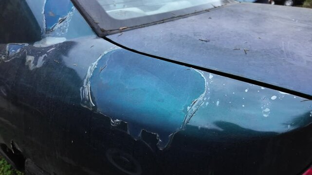 Close-up side view of an old damaged blue vinyl foil or film on a car. Slow motion abandoned retro vehicle with worn and flaking blue sticker or paint. Car cemetery or old timer junkyard concept.