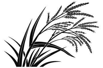 Vector illustration of isolated wheat ears silhouette, a natural plant design