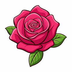 Fototapeta premium pink rose isolated on white background