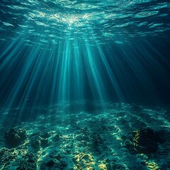 Fototapeta premium Sunlit Underwater Ocean View