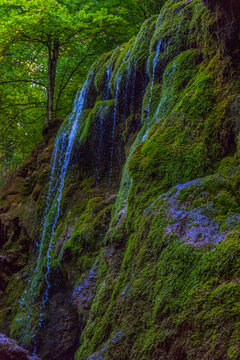 a picturesque mossy waterfall in the shade of a Crimean forest. 