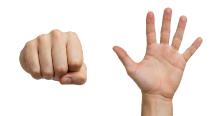 Isolated Fist and Open Hand