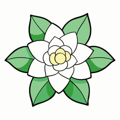 vector illustration of rose
