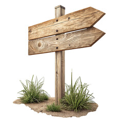 Rustic Wooden Arrow Signpost with Twin Planks and Tufts of Grass