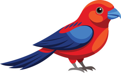 Fototapeta premium Beautiful Crimson Rosella bird vector illustration