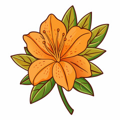 orange lily flower
