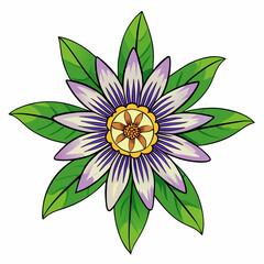 vector illustration of lotus flower
