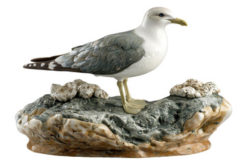 Seagull statue for garden decoration or display, isolated on white background.