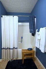 Blue Home Interior Shower Area