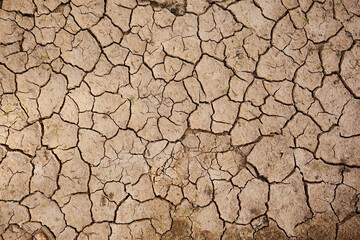 Texture dried earth