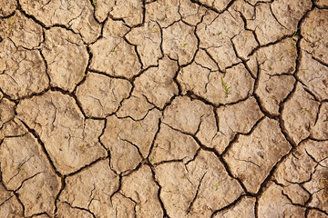 Texture dried earth