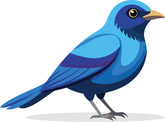 Beautiful Sapphire Cotinga bird vector illustration