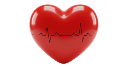 Isolated Heart with ECG Line