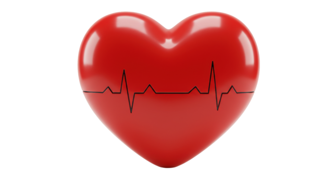 Isolated Heart with ECG Line