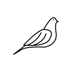 Pigeon