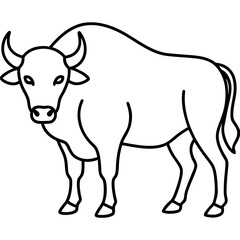Bison Outline Illustration Vector Art