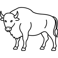 Bison Outline Illustration Vector Art