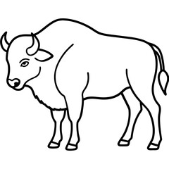 Bison Outline Illustration Vector Art