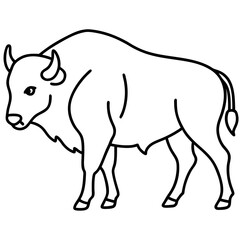 Bison Outline Illustration Vector Art