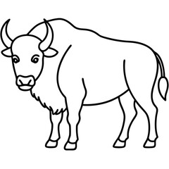 Bison Outline Illustration Vector Art