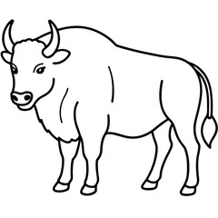 Bison Outline Illustration Vector Art