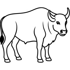 Bison Outline Illustration Vector Art