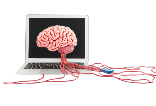 brain connected to a laptop isolated on transparent background