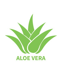 Aloe Vera Plant Logo  Green Herbal Symbol 
