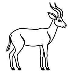 One-Line Antelope Vector Illustration