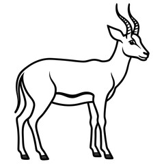 One-Line Antelope Vector Illustration
