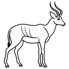 Obraz premium One-Line Antelope Vector Illustration