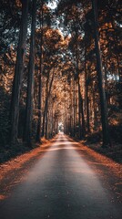 Autumn forest path photography with vibrant orange leaves, high-resolution autumn forest path photography for nature lovers, realistic autumn forest path photography perfect for seasonal landscape con