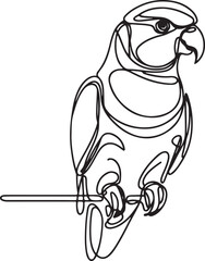 Lorikeet Bird Minimalist Line Art Vector