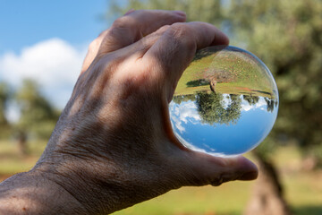 Árboles reflejados en una bola de cristal en el campo