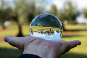 Árboles reflejados en una bola de cristal en el campo