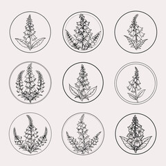 Aesthetic foxglove floral circle silhouette, romantic floral wreath, ideal for monograms and DIY.