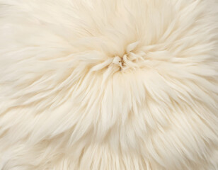 Fototapeta premium white abstract background, natural animal white fur background, copy space top view, white wool texture background. sheep fluffy background