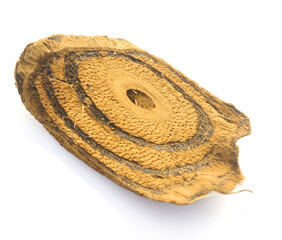 Weathered Wood with Annual Ring Pattern, Rough and aged texture background. - stock photo
