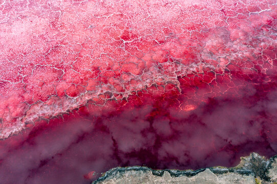 Aerial view of red soda on surface of Lake Magadi, Rift Valley, Kenya. September, 2023.